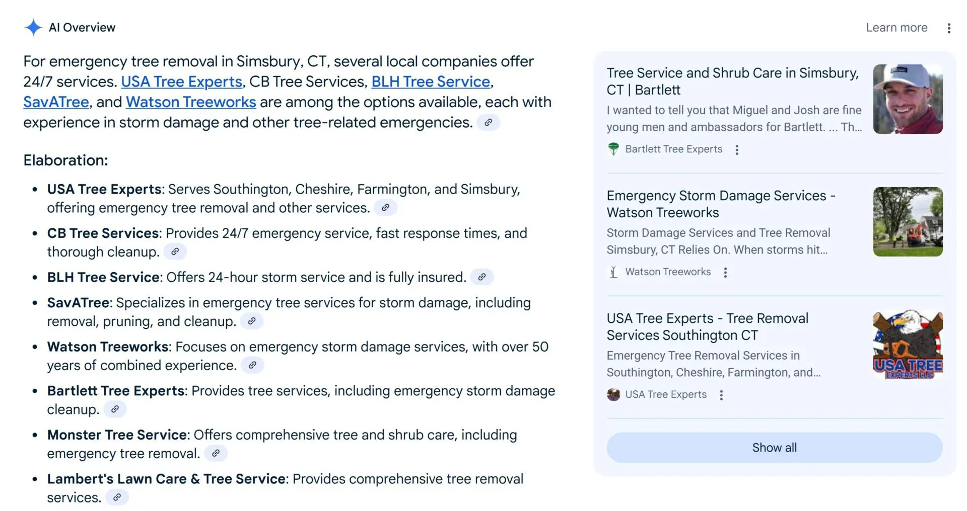 Screenshot of a Google AI Overview result for "emergency tree removal in Simsbury, CT." The summary lists multiple local companies, including USA Tree Experts, CB Tree Services, BLH Tree Service, SavATree, and Watson Treeworks. USA Tree Experts is highlighted for serving Southington, Cheshire, Farmington, and Simsbury. On the right side, visual search results show featured listings for Bartlett Tree Experts, Watson Treeworks, and USA Tree Experts, with images and brief service descriptions.