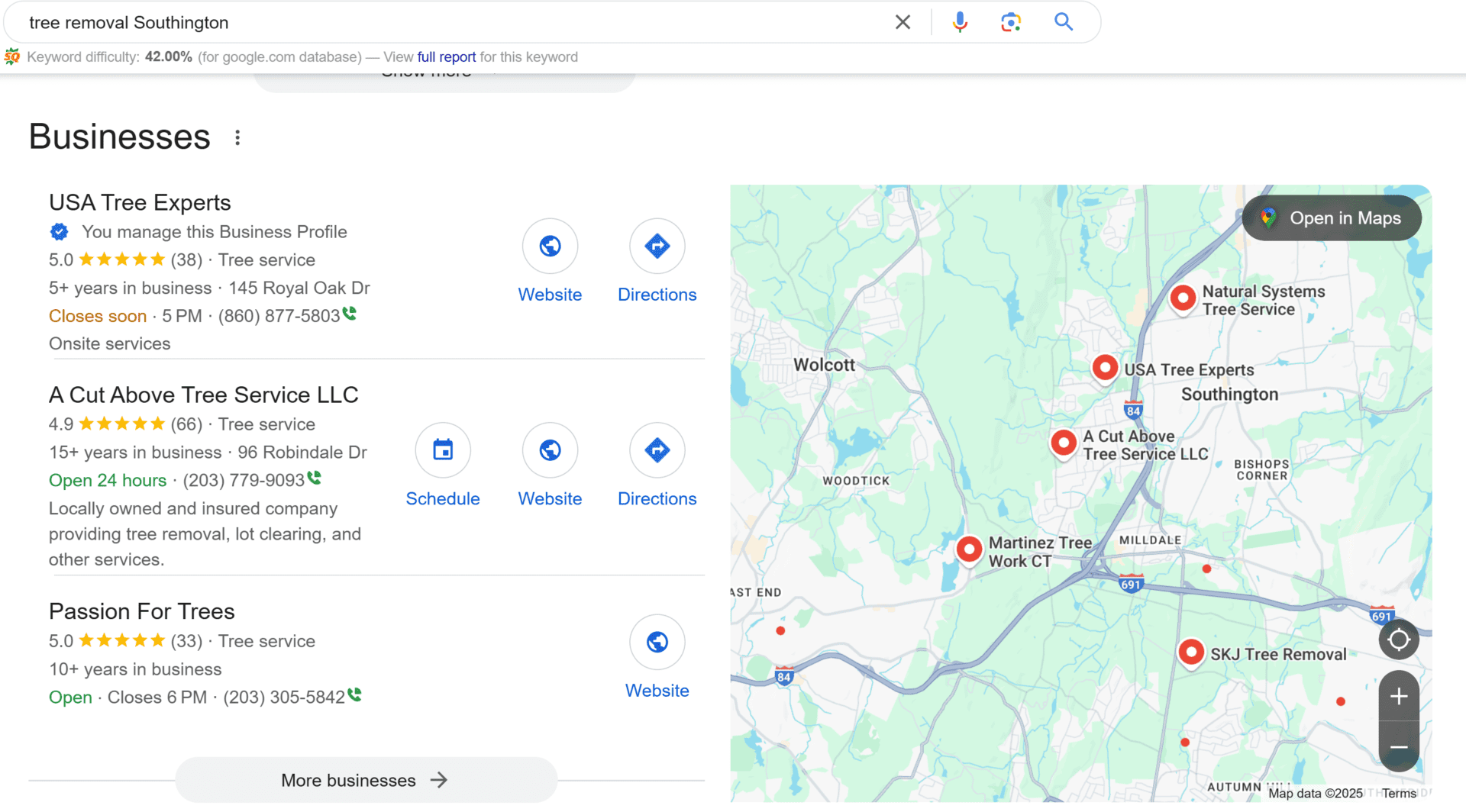 Screenshot 2025-02-13 162445 GOOGLE MAPS SHOWING BUSINESS' RANKED