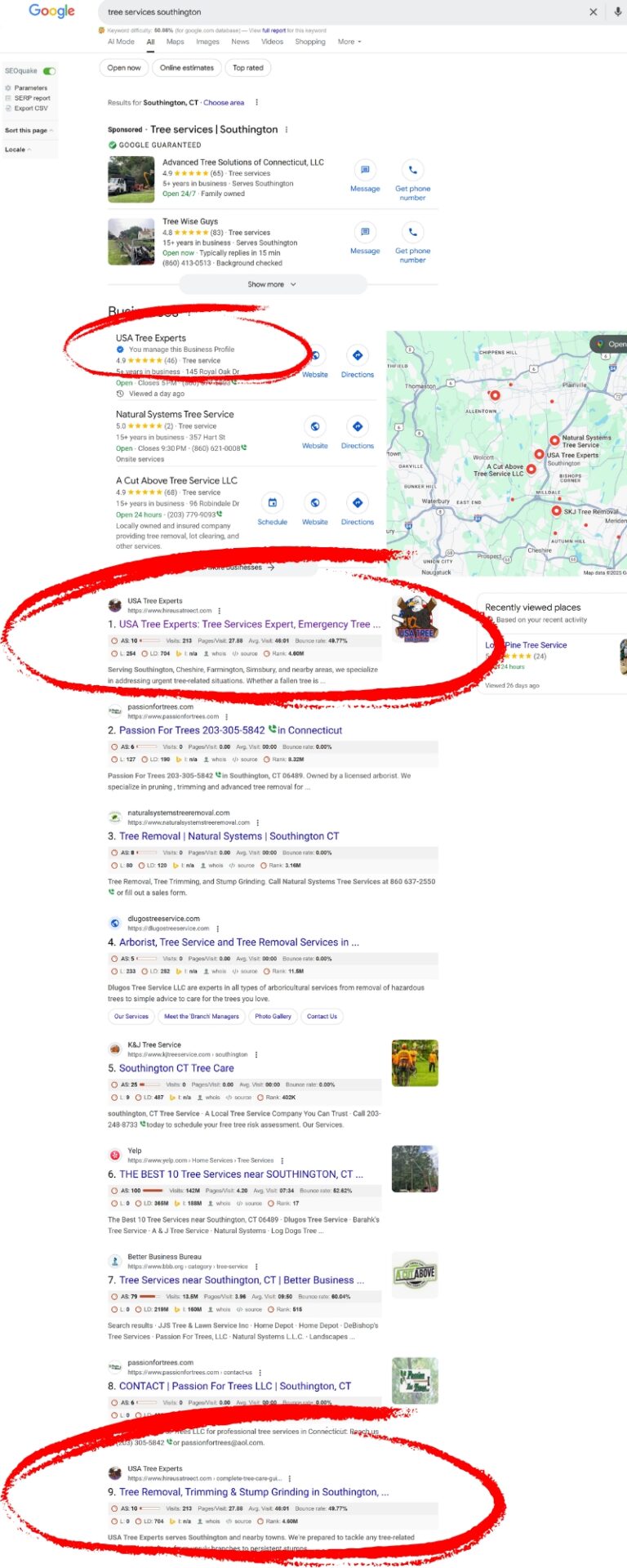 google-business-visibility-report-example Google search results for 'tree services Southington' showing a local business ranking in both the Google Map Pack and organic search results, with USA Tree Experts highlighted in top positions.