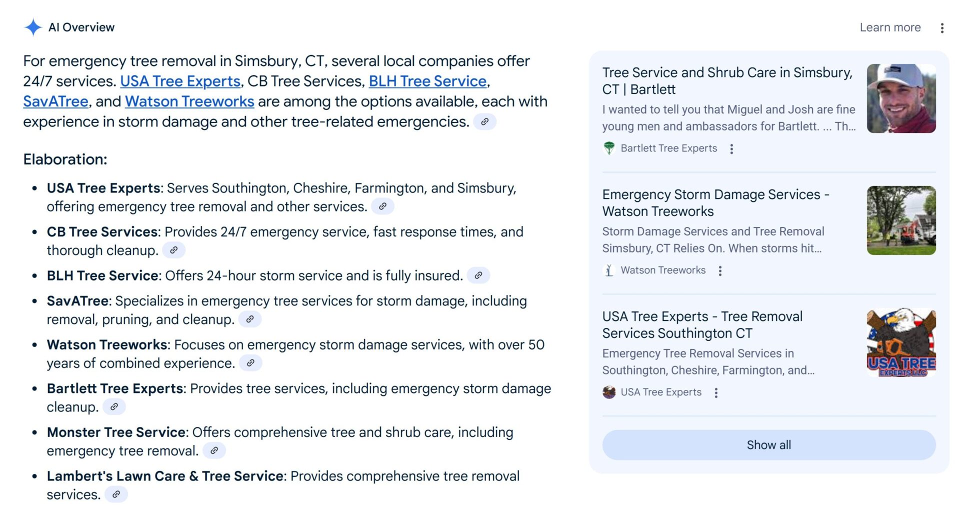 Screenshot of a Google AI Overview result for "emergency tree removal in Simsbury, CT." The summary lists multiple local companies, including USA Tree Experts, CB Tree Services, BLH Tree Service, SavATree, and Watson Treeworks. USA Tree Experts is highlighted for serving Southington, Cheshire, Farmington, and Simsbury. On the right side, visual search results show featured listings for Bartlett Tree Experts, Watson Treeworks, and USA Tree Experts, with images and brief service descriptions.